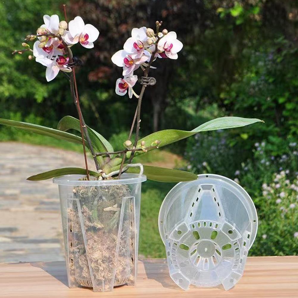 Plant Parent - กระถางปลูกต้นไม้แบบโปร่งใส ควบคุมรากได้ ระบายอากาศได้ดี พร้อมช่องระบายอากาศ สวยงาม เหมาะสำหรับปลูกกล้วยไม้ฟาแลนนอปซิส