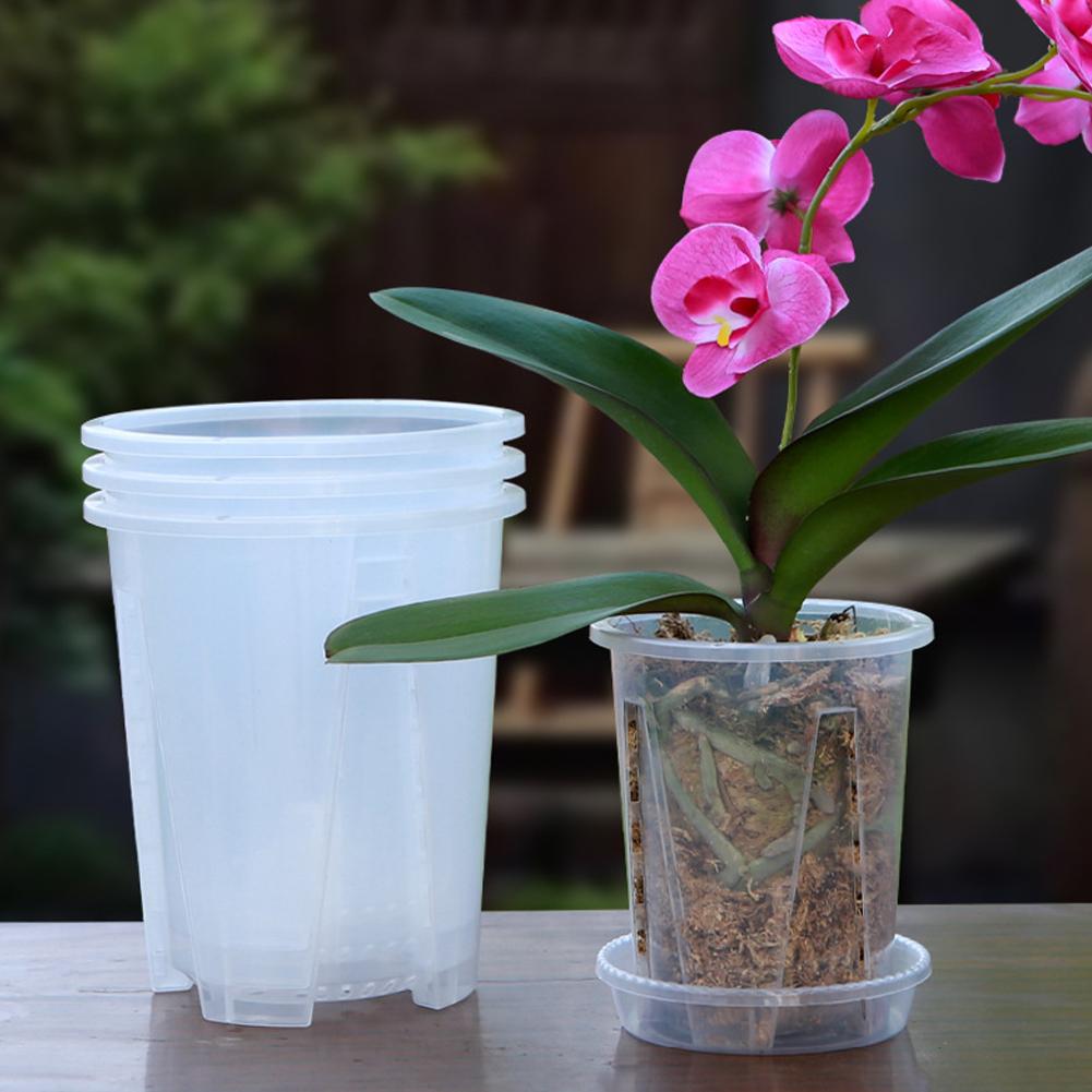กระถางปลูกต้นไม้แบบโปร่งใส ควบ - Plant Parent บทวิจารณ์และราคา