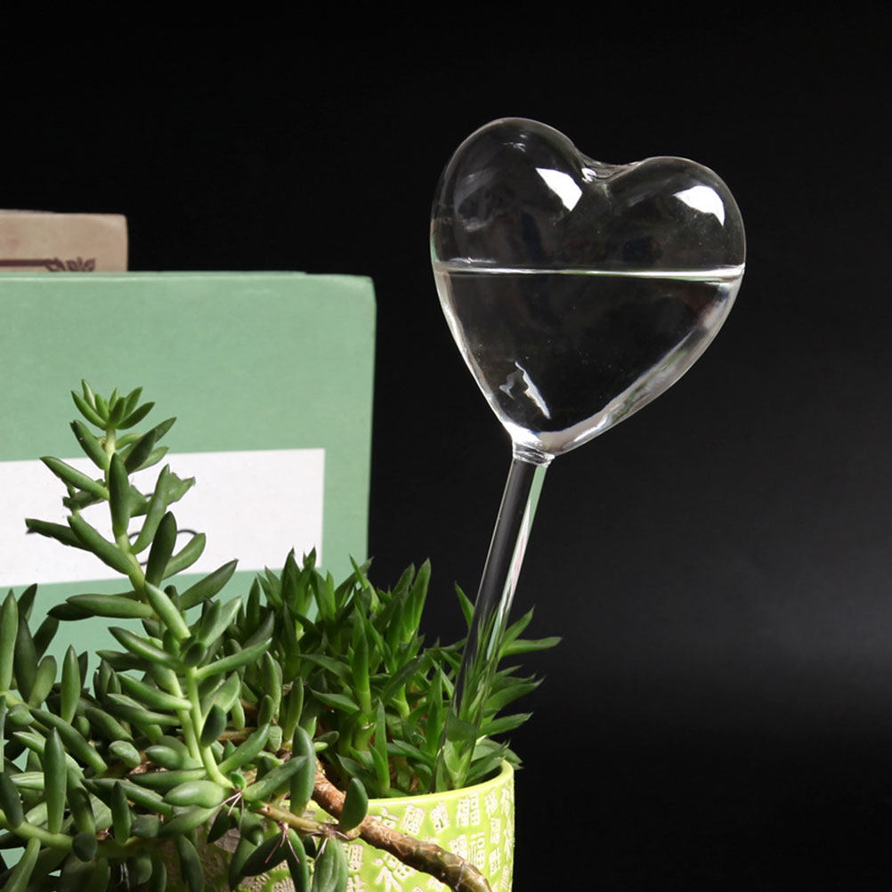 ลูกบอลแก้วรูปหัวใจ 3 ชิ้น สำหร - Plant Parent บทวิจารณ์และราคา