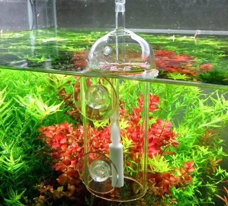 VIV Do อุปกรณ์ Aquarium กระบอก - Plant Parent บทวิจารณ์และราคา