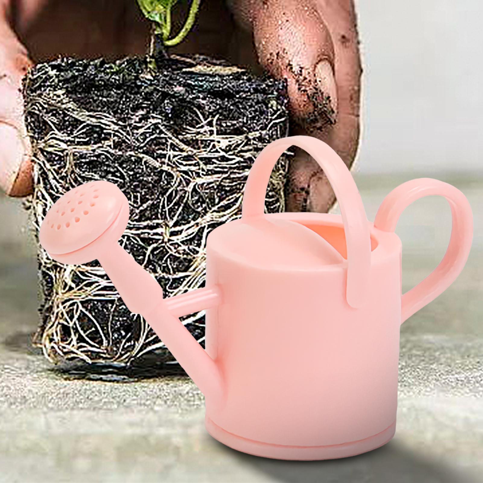 บัวรดน้ำเด็กเล็ก บัวรดน้ำดอกไม - Plant Parent บทวิจารณ์และราคา